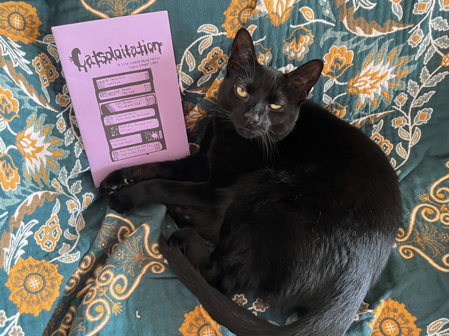Catsploitation A Zine Celebrating Horror Fans & Their Cats Odd